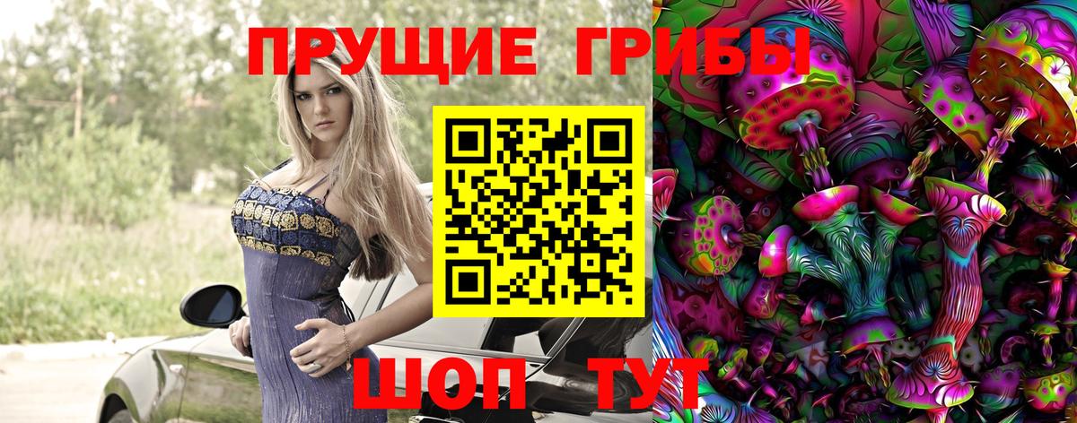 Псилоцибиновые грибы прущие грибы Камень-на-Оби