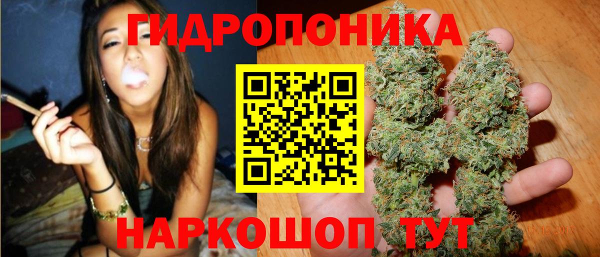 Бошки марихуана семена  Канабис марихуана  Вход с VPN  Камень-на-Оби 